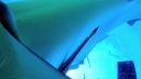 000_001_0879.jpeg