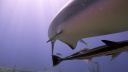 000_001_0886.jpeg