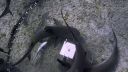 000_001_0904.jpeg