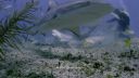 000_001_0910.jpeg