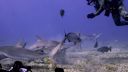 000_001_0916.jpeg