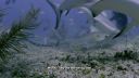 000_001_0917.jpeg