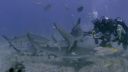 000_001_0920.jpeg
