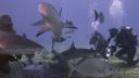 000_001_0922.jpeg