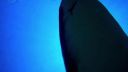 000_001_0924.jpeg