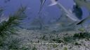 000_001_0929.jpeg