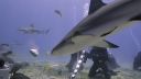 000_001_0938.jpeg