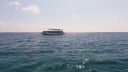 000_001_0951.jpeg