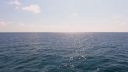 000_001_0954.jpeg