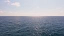 000_001_0955.jpeg