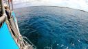 000_001_1062.jpeg