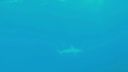 000_001_1070.jpeg