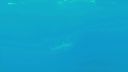 000_001_1072.jpeg
