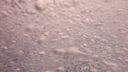 000_001_1139.jpeg