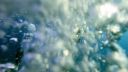 000_001_1141.jpeg