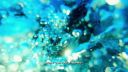 000_001_1181.jpeg
