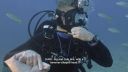 000_001_1235.jpeg
