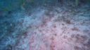 000_001_1248.jpeg