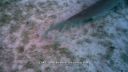 000_001_1258.jpeg