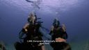 000_001_1260.jpeg