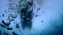000_001_1282.jpeg