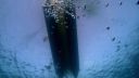 000_001_1283.jpeg
