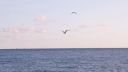 000_001_1320.jpeg