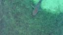 000_001_1373.jpeg