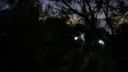 000_001_1515.jpeg