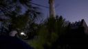 000_001_1520.jpeg
