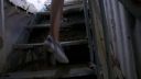 000_001_1584.jpeg