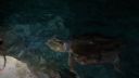 000_001_1701.jpeg