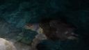 000_001_1702.jpeg