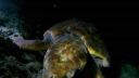 000_001_1707.jpeg