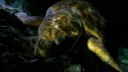 000_001_1708.jpeg