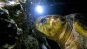 000_001_1718.jpeg
