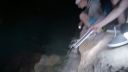 000_001_1730.jpeg