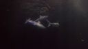000_001_1745.jpeg