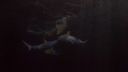 000_001_1748.jpeg
