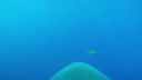 000_001_1776.jpeg