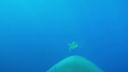 000_001_1777.jpeg