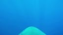 000_001_1780.jpeg
