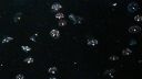 000_001_1822.jpeg