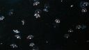 000_001_1823.jpeg