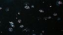 000_001_1824.jpeg