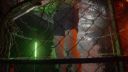 000_001_1903.jpeg