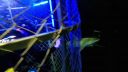 000_001_2011.jpeg