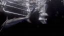 000_001_2021.jpeg