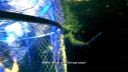 000_001_2029.jpeg