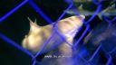 000_001_2031.jpeg